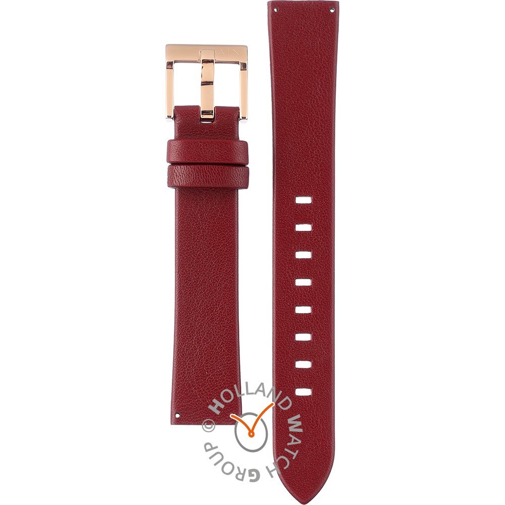 Armani Exchange AAX5913 Strap