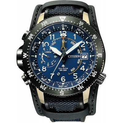 Citizen Promaster Land BN4055-19L Altichron Watch