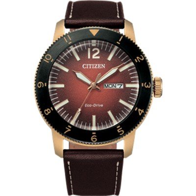 Citizen AW0079-13XB Watch