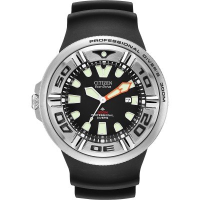 Citizen ladies 2024 dive watch