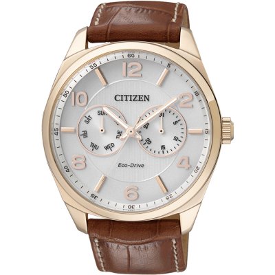 Citizen Elegance AO9024-16A Watch