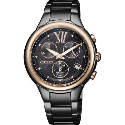 Citizen Elegance FB1317-53E Watch