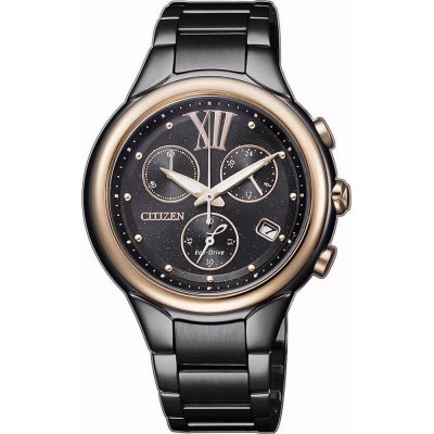 Citizen FB1316-56E Watch