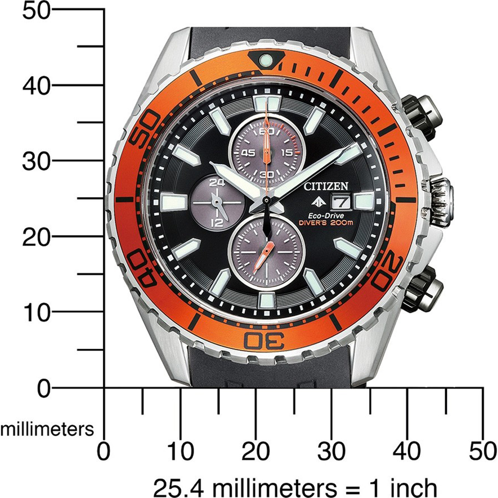 citizen marine watch