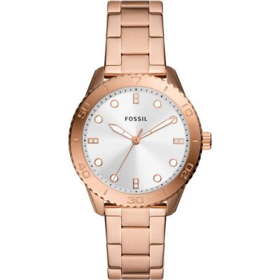 Fossil BQ3886 Dayle Watch