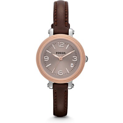 Fossil heather best sale