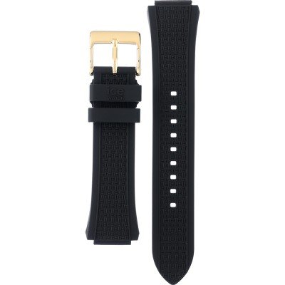 Correa Ice-Watch 022010 ICE boliday