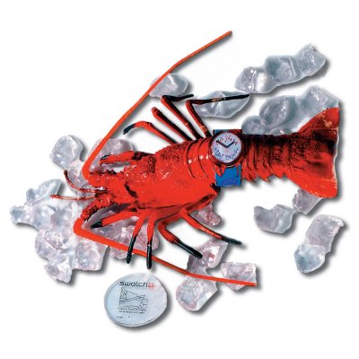 Swatch Packaging Specials PWK181PACK Cruise Set (Langoustine) Watch