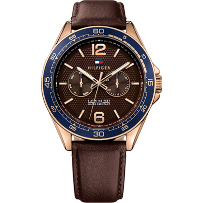 Tommy Hilfiger 1791367 Watch